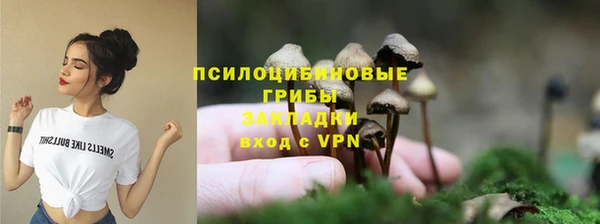 прущие крисы Абаза