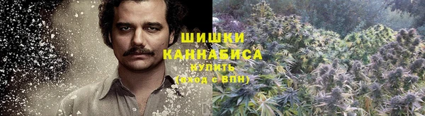 прущие крисы Абаза