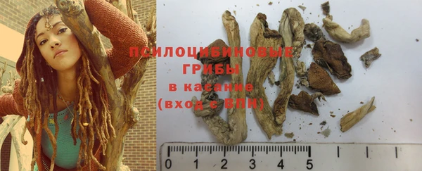 прущие крисы Абаза