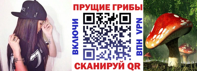 Галлюциногенные грибы прущие грибы Собинка